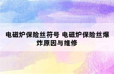 电磁炉保险丝符号 电磁炉保险丝爆炸原因与维修